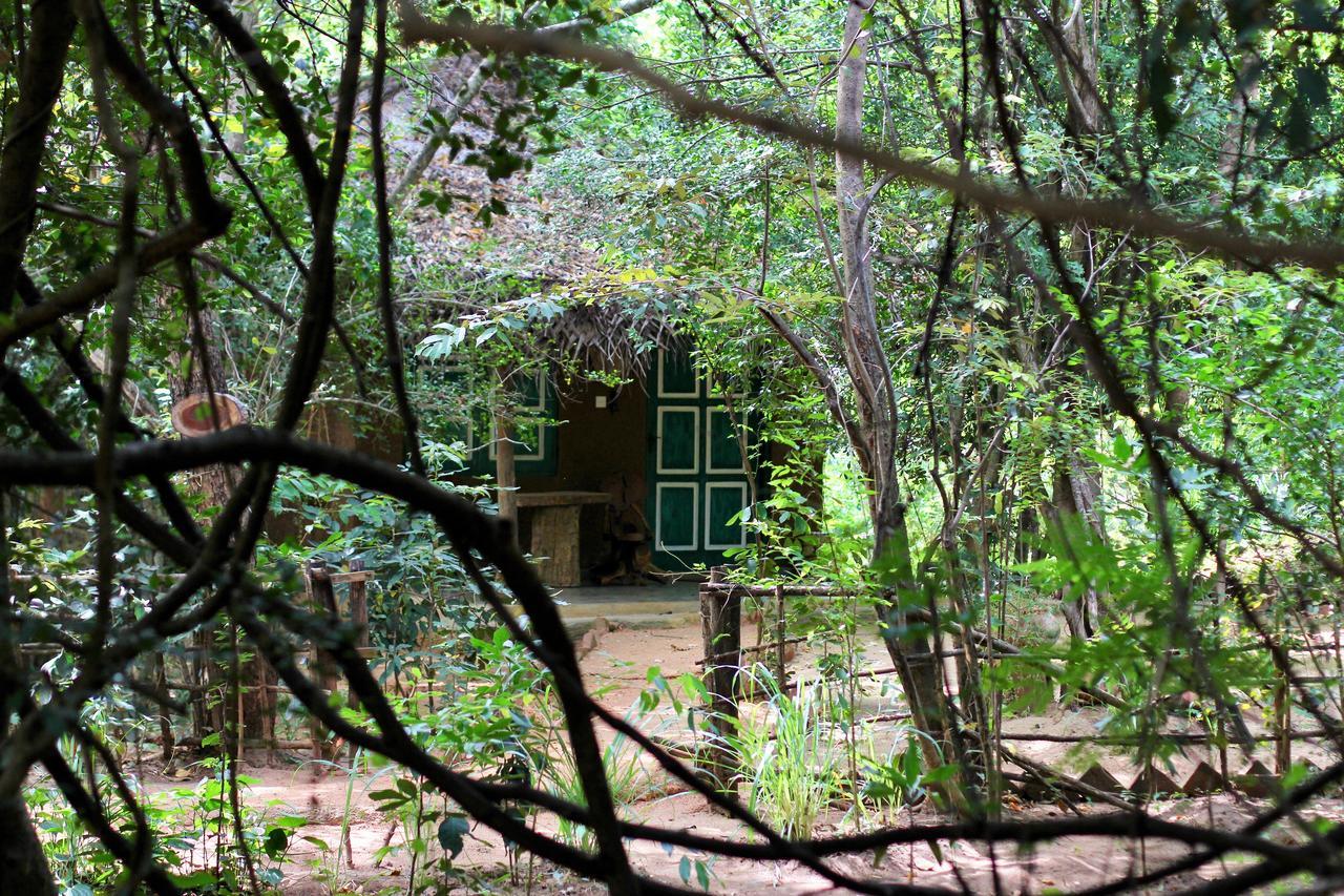 Отель Mahagedara Wellness Retreat Avudangawa Экстерьер фото